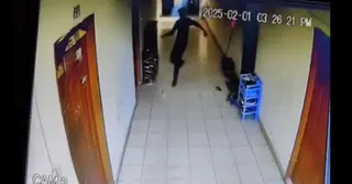 রাজধানীতে বিড়াল হত্যার দায়ে একজনের ৬ মাসের কারাদণ্ড